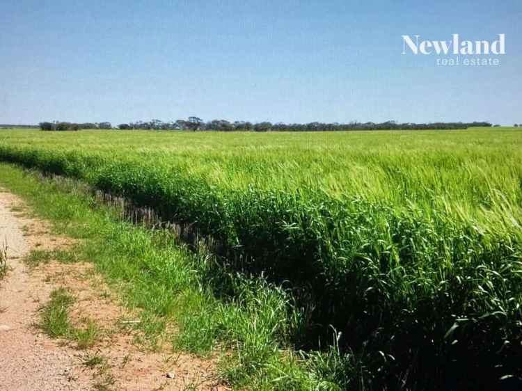 Acreage For Sale in The District Council of Cleve, South Australia