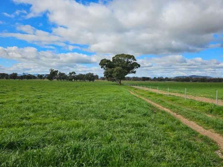 Block For Sale in Snowy Monaro Regional Council, New South Wales