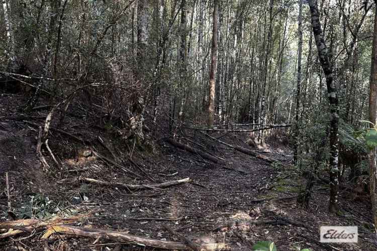 Block For Sale in Central Coast, Tasmania