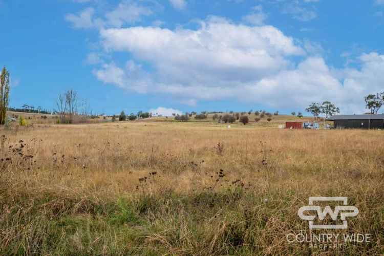 Block For Sale in Snowy Monaro Regional Council, New South Wales