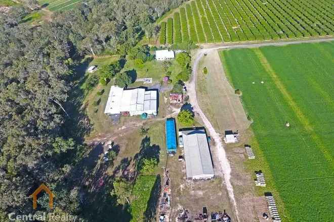 102.5 Acre Hay Farm in Mareeba