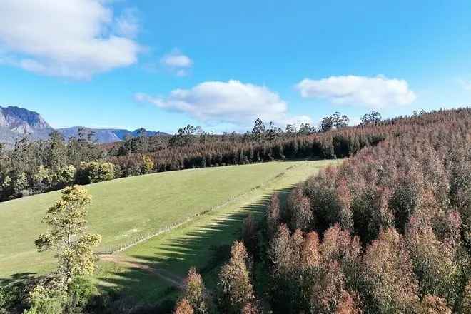 Rural For Sale in Kentish, Tasmania