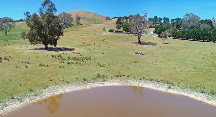 Peaceful 11.5 Acre Retreat in Bonnie Doon with Stunning Lake Views