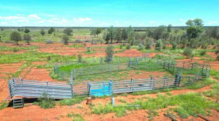 Rural For Rent in Burren Junction, New South Wales