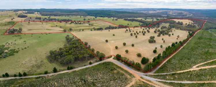 Rural For Rent in Oberon Council, New South Wales