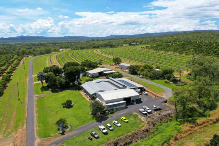 Rural For Sale in Mareeba Shire, Queensland