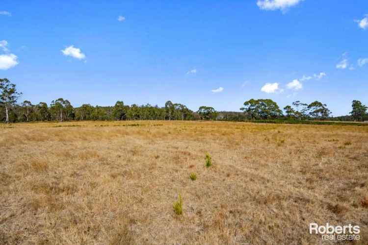 Block For Sale in Sorell, Tasmania