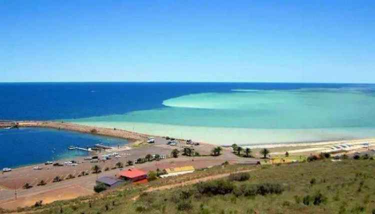 Block For Sale in The Corporation of the City of Whyalla, South Australia