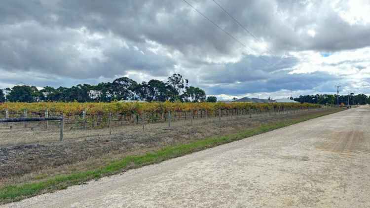 Block For Sale in Penola, South Australia