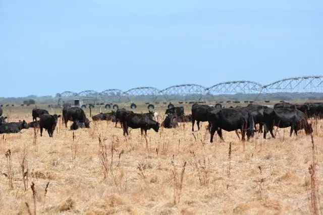 Fernbank. Productivity and Water security at Reedy Creek