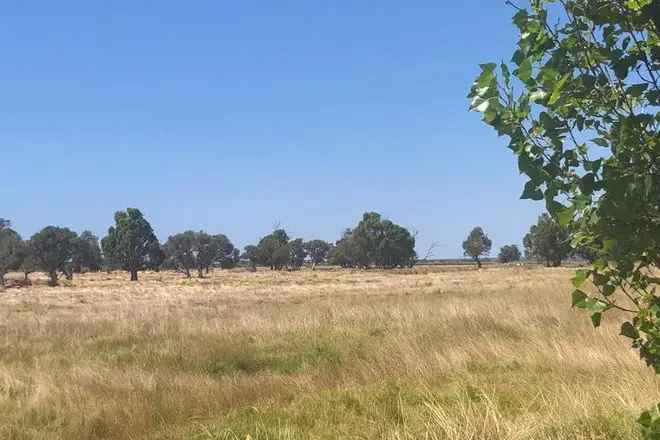 55 Acre Block Near Busselton City - Development Potential