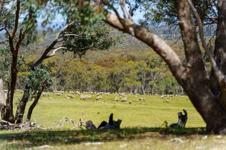 Rural For Sale in Maldon, Victoria