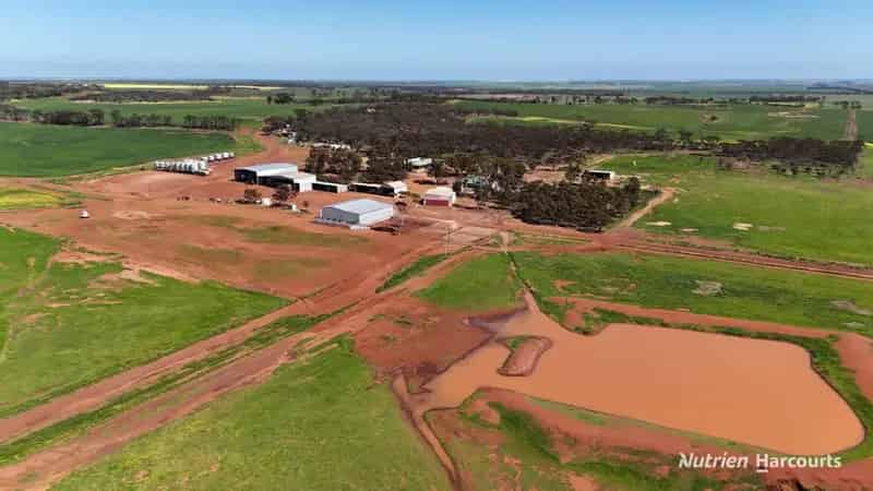 Rural property For Sale , Shire Of Narembeen, Western Australia