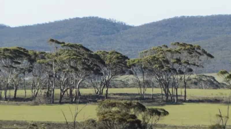 ATTRACTIVE ACREAGE!