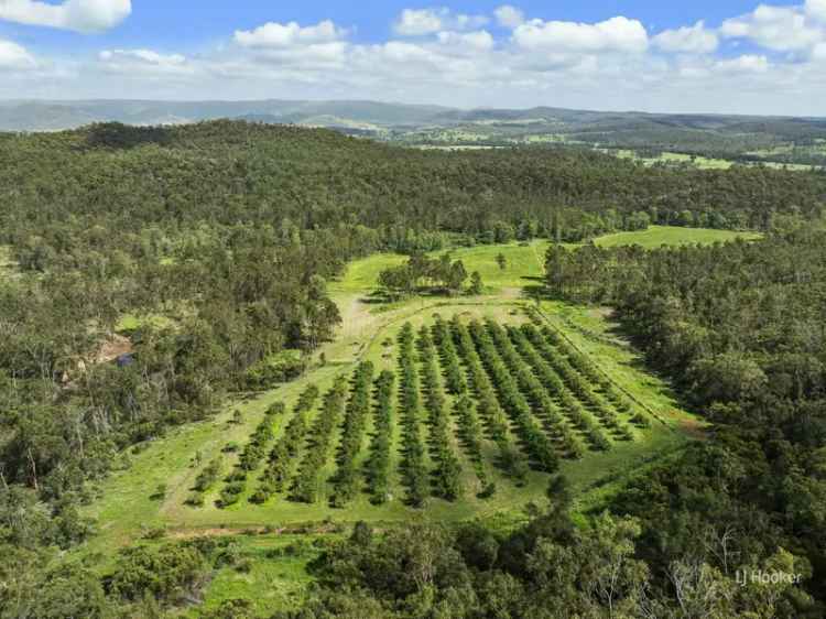 Rural For Sale in Somerset Regional, Queensland