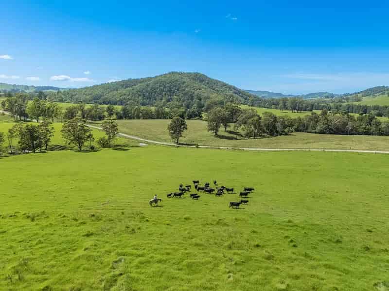 Beautiful 100-Acre Rural Property with Grazing and Scenic Views