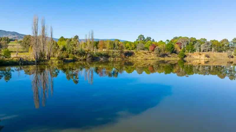 Buy rural property in Allans Flat with 36 acres of excellent cattle country