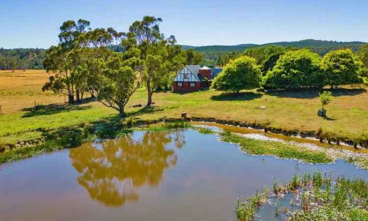 Rural For Sale in George Town, Tasmania