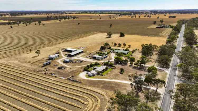 Rural property For Sale in Bordertown, South Australia