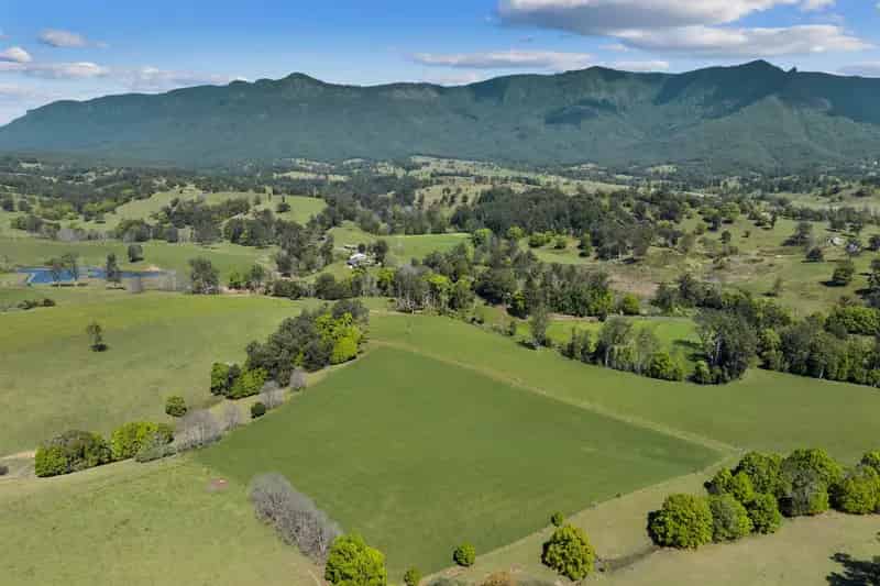 "Hazelnook" - Quality Cattle Opportunity, Quality lifestyle - Tweed Valley NSW