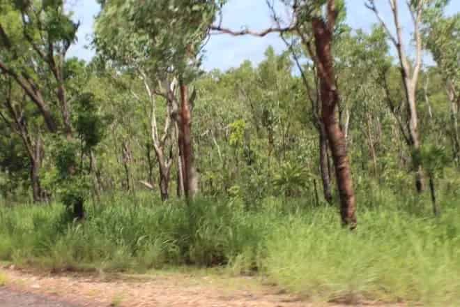 Land For Sale , Batchelor, Northern Territory