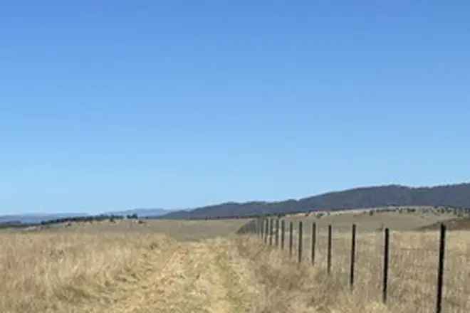 Rural For Sale in Dalgety, New South Wales