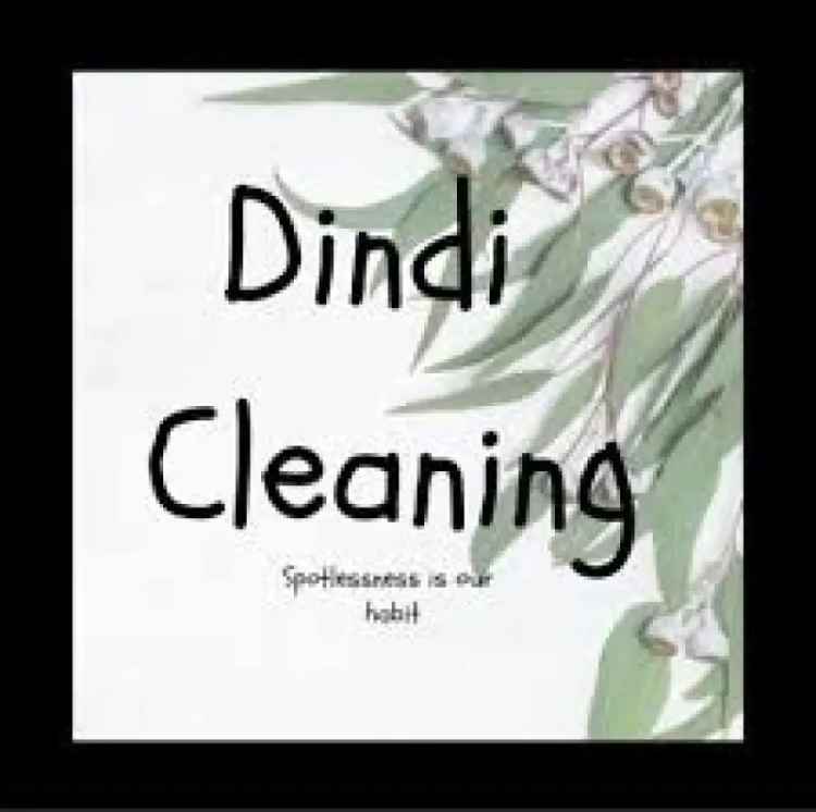 Dindi CLeaning