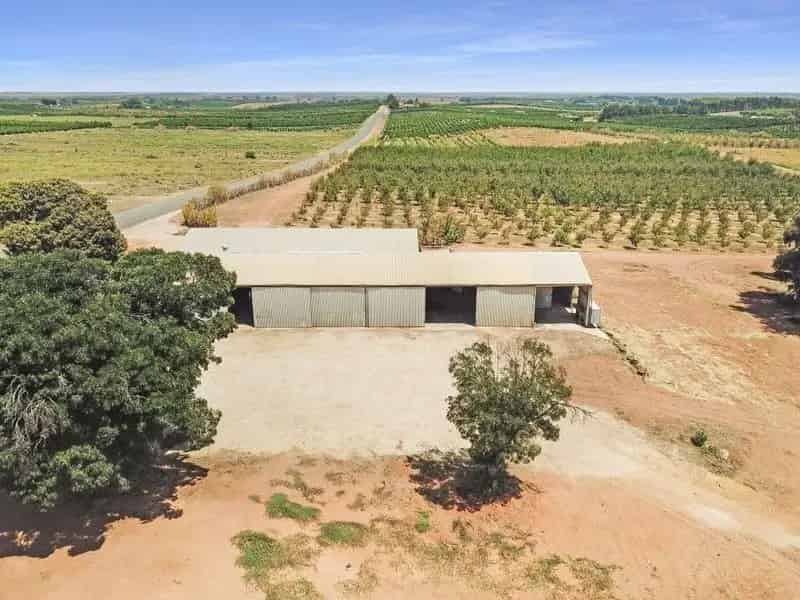 39 Acre Block with Shed Near Waikerie