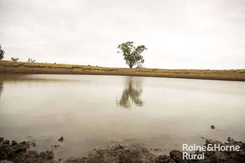 Rural property For Sale , Roma, Queensland