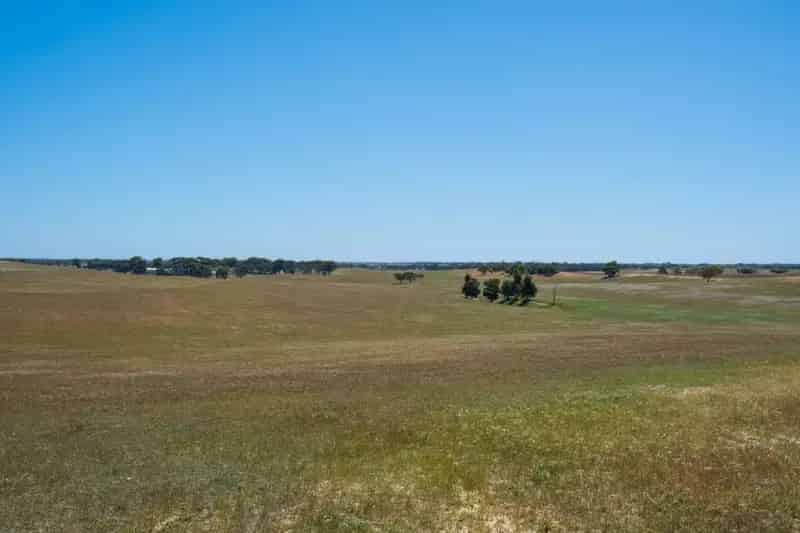 Rural property For Sale , Bordertown, South Australia