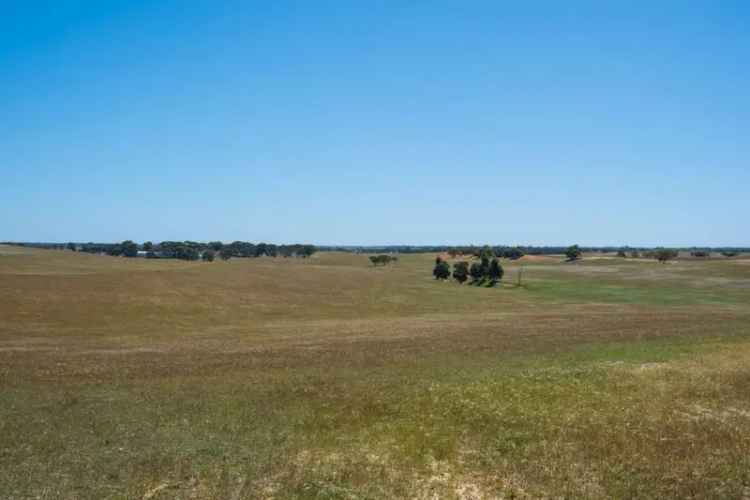 Rural property For Sale in Bordertown, South Australia