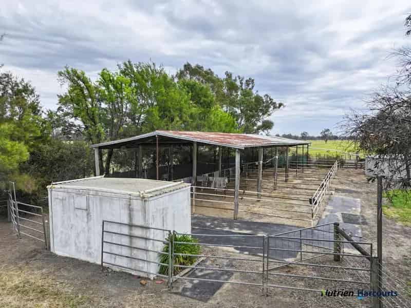 Rural property For Rent , Violet Town, Victoria