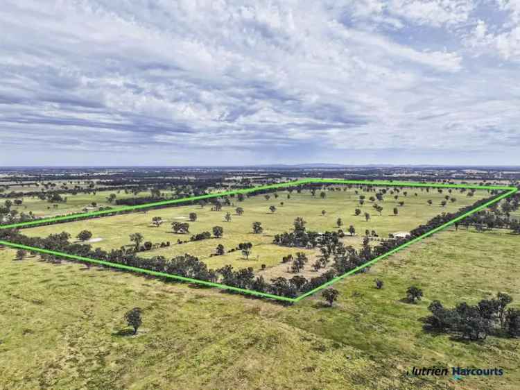 Rural For Rent in Violet Town, Victoria