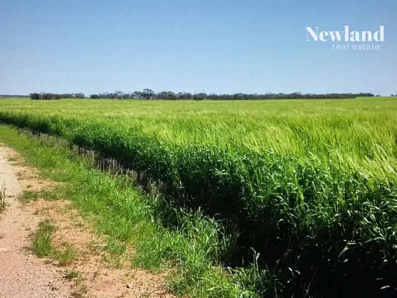 Expressions of Interest for Large Rural Property in Eyre Peninsula