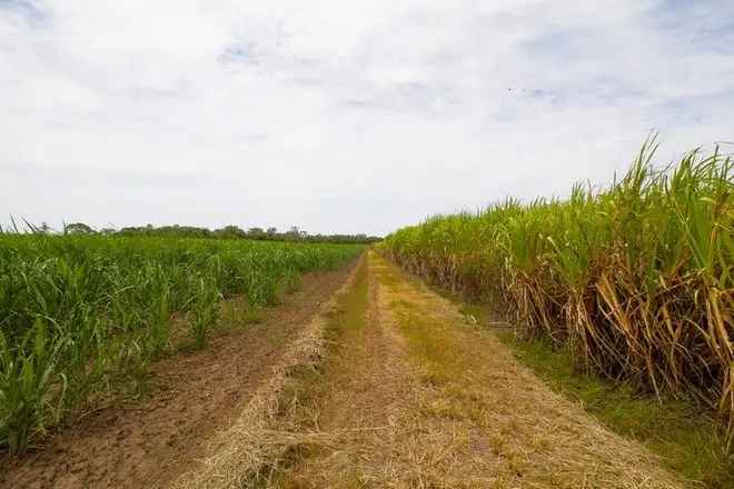 Land For Sale in Bundaberg, Queensland