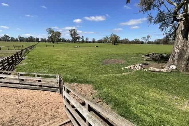 Rural property For Sale , 375, Ripley Park Road, Shire of West Wimmera, Victoria