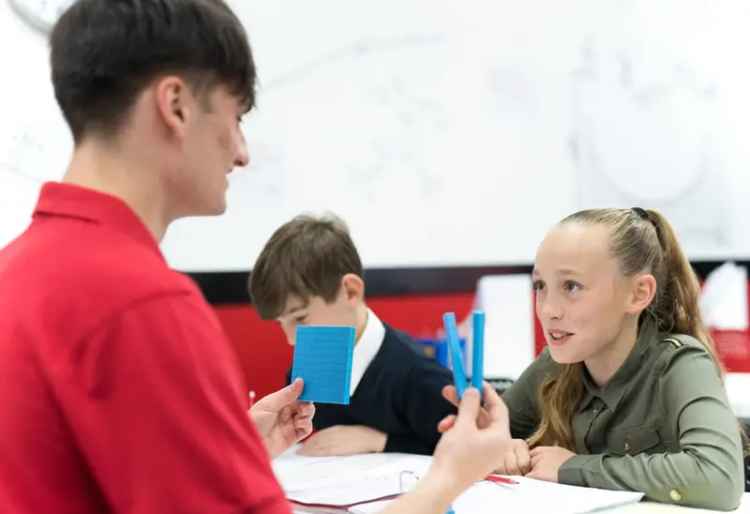 Invest in a Mathnasium Franchise: Educational Success with High Demand