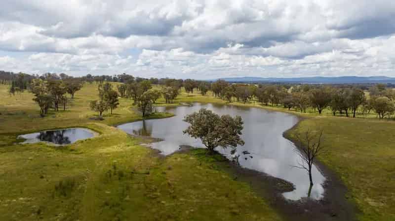 "Stony Batter" Reliable Beef Grazing with Exceptional Water