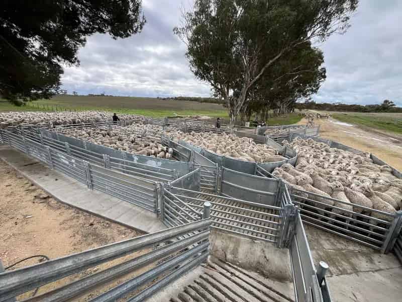 "Clayfields"  -  A Hidden Gem