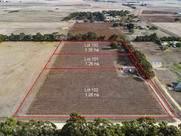 Buy land lifestyle allotments on the edge of Penola with shared driveway access