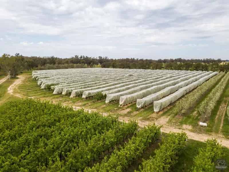 Buy rural property orchard in Mooroopna North with state of the art irrigation