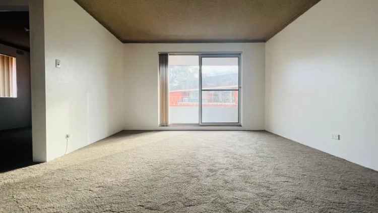 Two Bedroom Unit - Freshly Painted, New Carpets, Balcony, Car Space