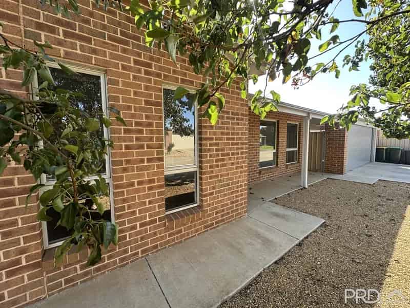 LOW MAINTENANCE-RED CLIFFS