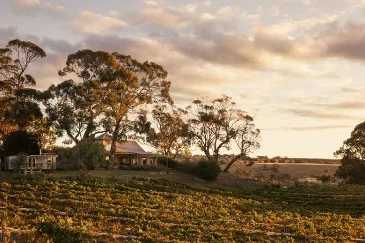 Stunning Winery & Bed & Breakfast in the Heart of Victoria