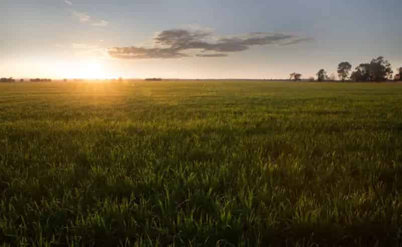 Buy Rural Property 1950 Acres with Productive Red Loam in Kurrajong Pine Country