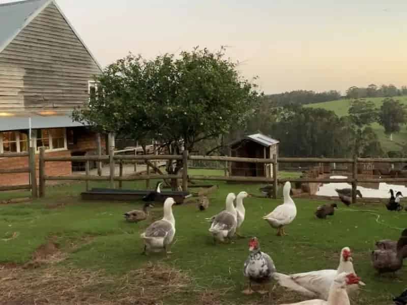 Rural property For Sale , 129, Pump Hill Road, Pemberton, Western Australia