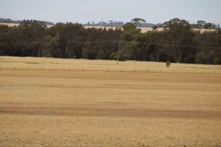 104 Acre Bush Paradise near Woodanilling