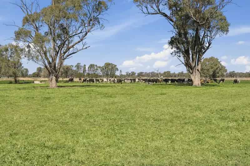 Rural property For Rent , 2425, Lilford Road, Kyabram, Victoria