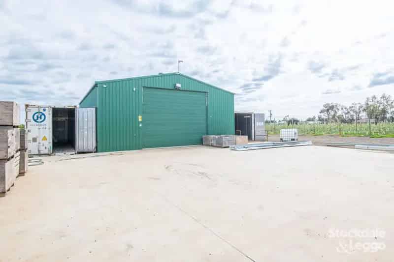 Buy rural property apple orchard in Shepparton with high yield features