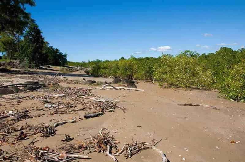 Rural property For Sale , Mackay Regional, Queensland